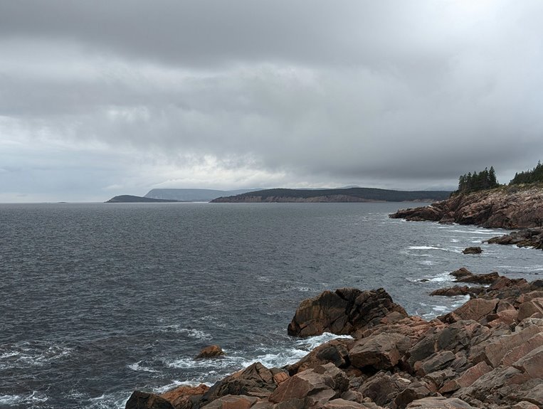 nova surge model identifier dynamic vector